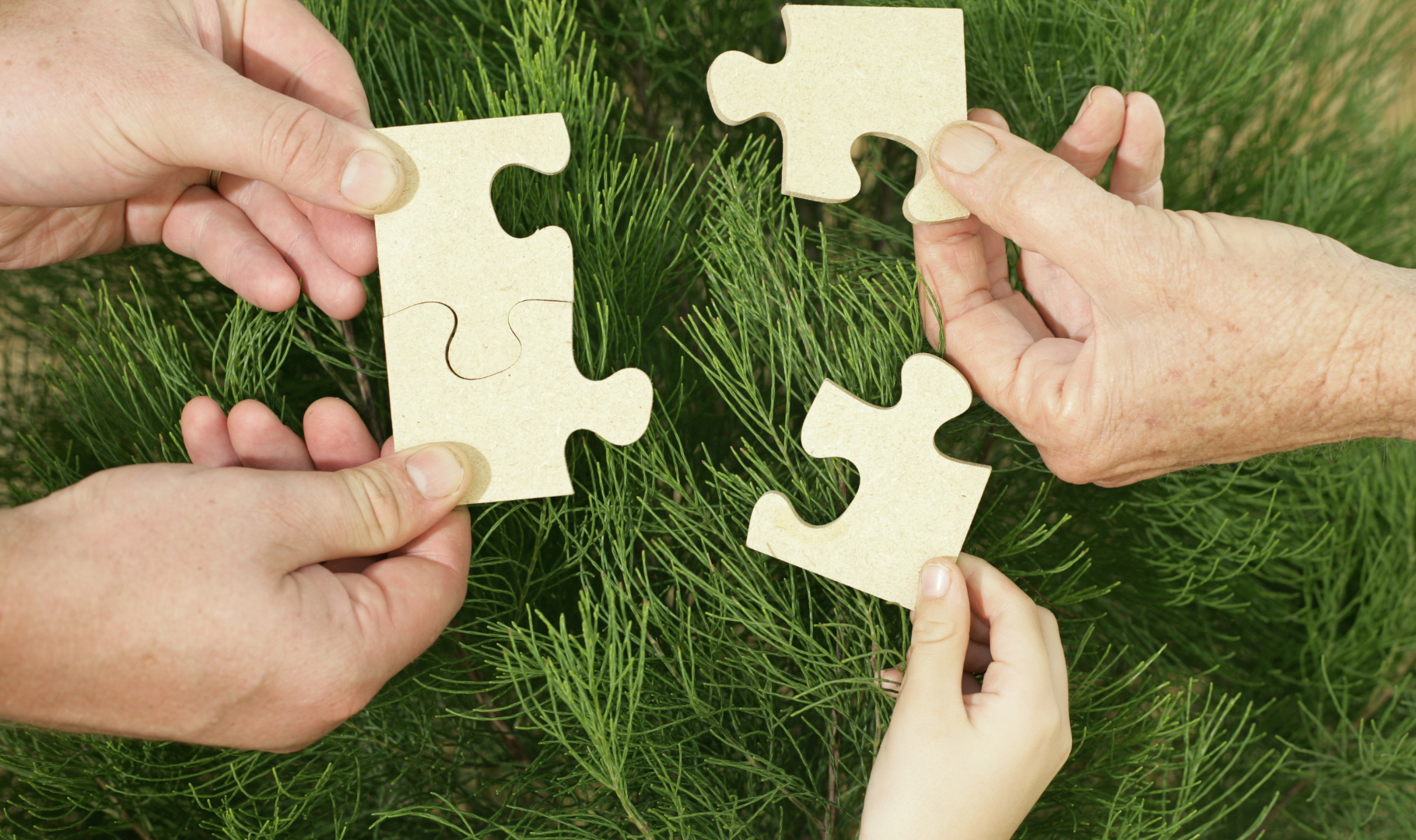 Crossland Roots Genealogy Family Puzzle Pieces Crossland Roots Genealogy Family Puzzle Pieces