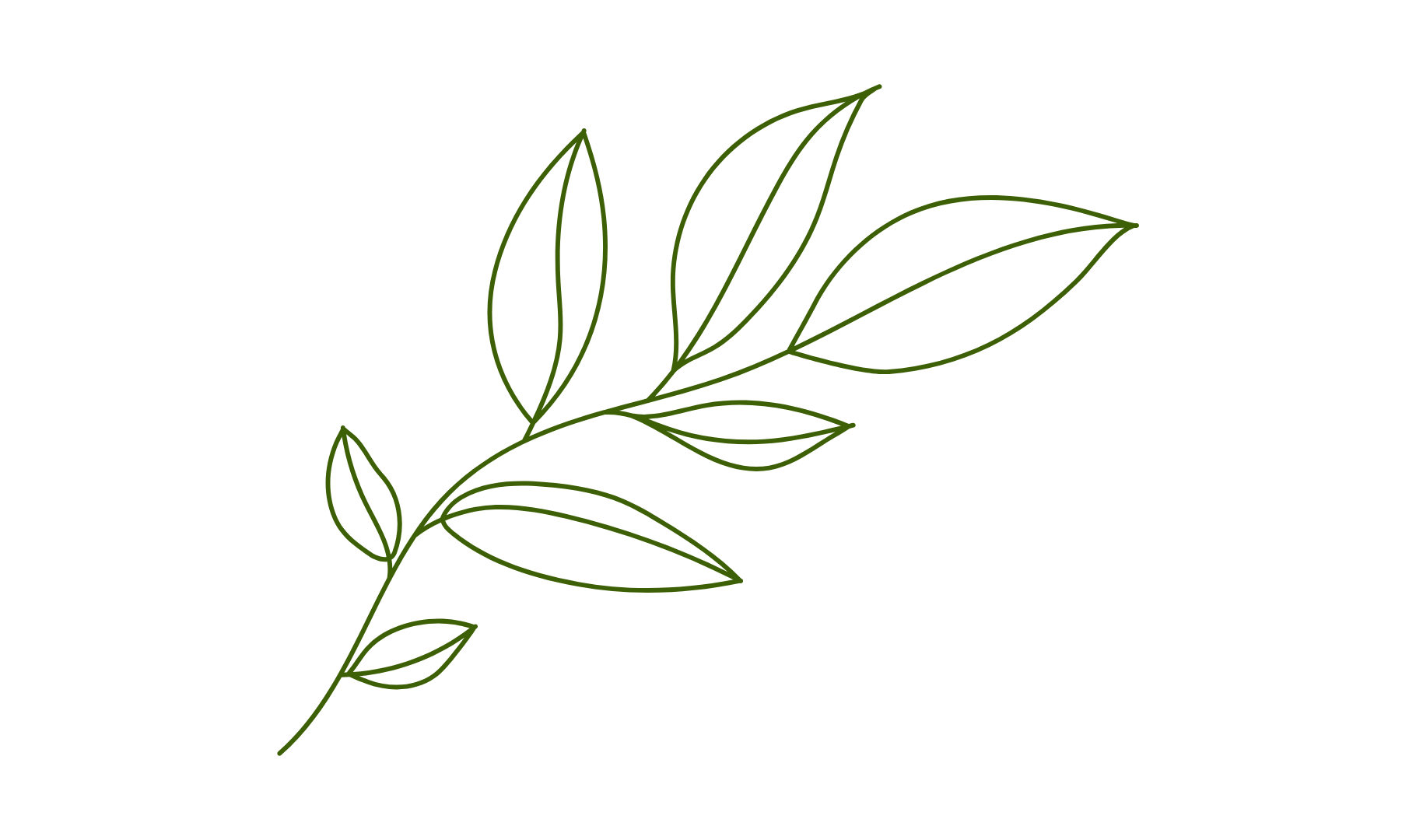 crossland roots genealogy leaf package