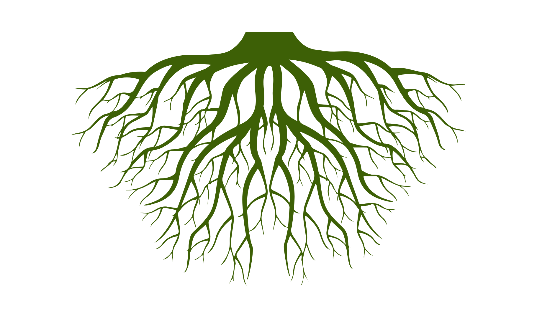 crossland roots genealogy roots package