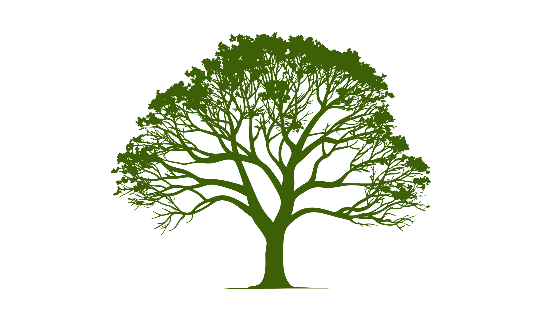 crossland roots genealogy tree package